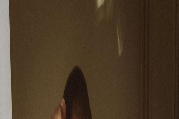 Site using Wolf-custom-post-meta plugin
