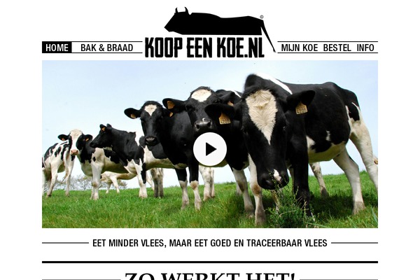 koe theme websites examples