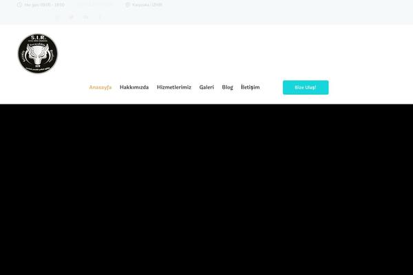Site using Instagram plugin