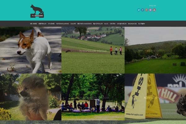 Kingdom theme site design template sample