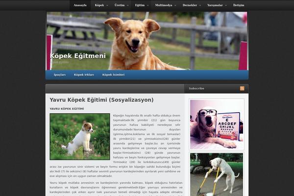 Traction theme site design template sample