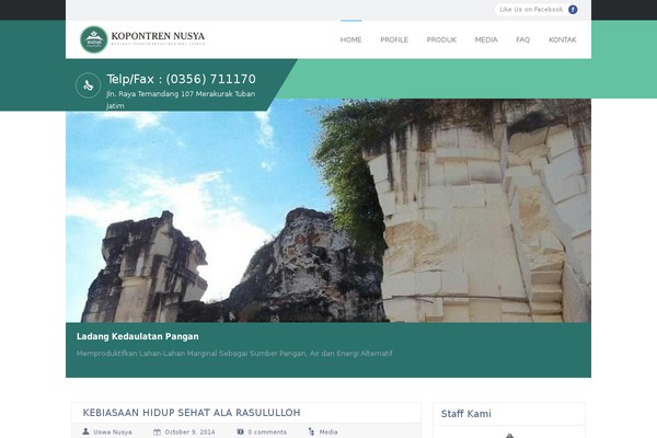 My College theme site design template sample