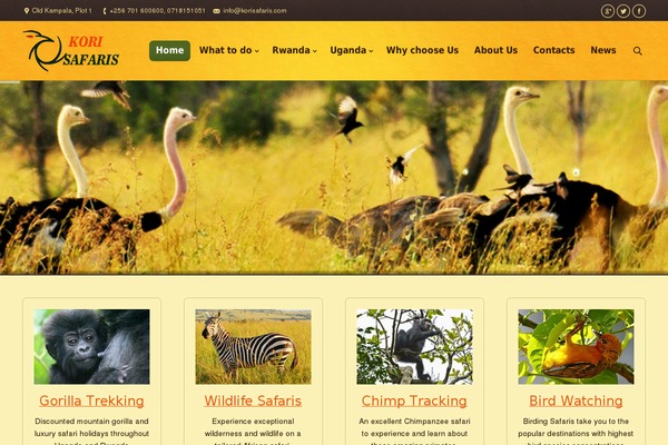 korisafaris.com site used Ecoife-wp