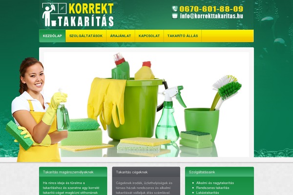 Sync theme site design template sample