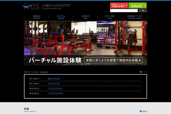 Site using WP Social Bookmarking Light plugin