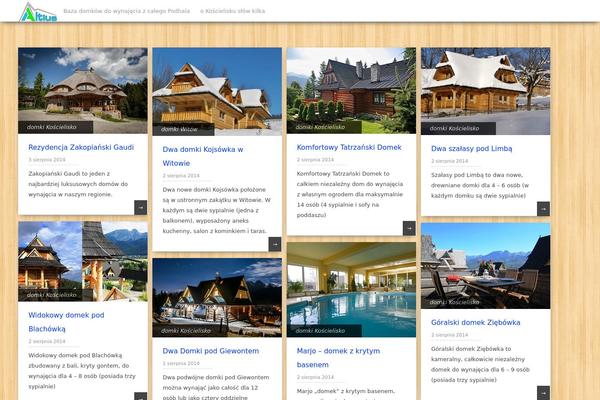 Pinbin theme site design template sample