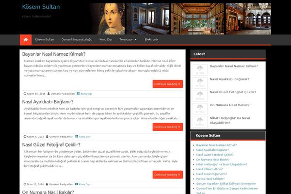 Magazine Style theme site design template sample