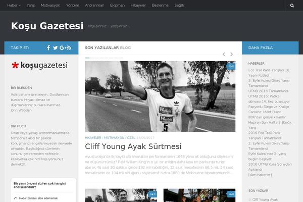 Bloggist theme site design template sample