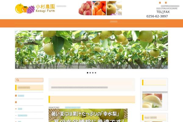 Fsv002wp-basic-c03 theme site design template sample