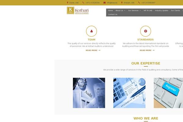 Flash theme site design template sample