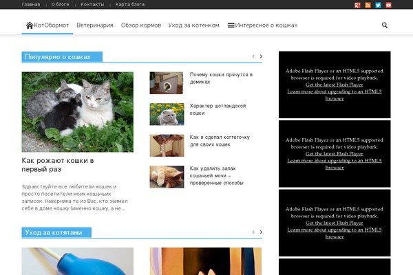 kotobormot.ru site used Doctag