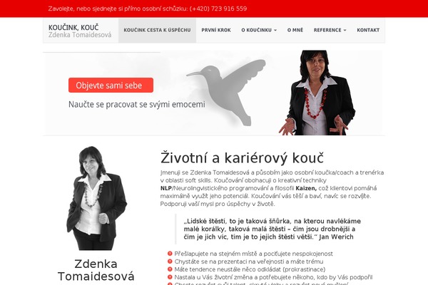 Site using Google Map Shortcode plugin