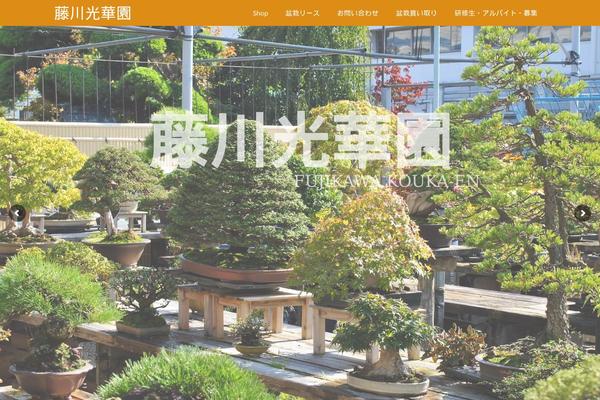 Virtue Premium theme site design template sample