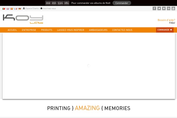 koylab.fr site used Koylab