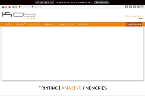 koylab.pt site used Koylab