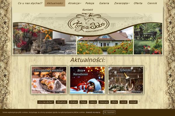 Nirvana-child theme site design template sample