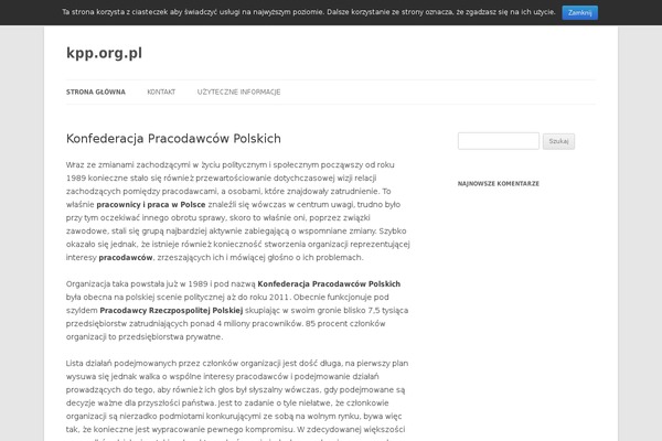 Site using Easy Custom Auto Excerpt plugin