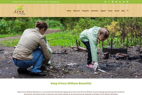 Salient Child theme site design template sample