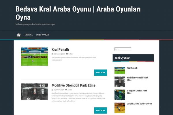 aReview theme site design template sample