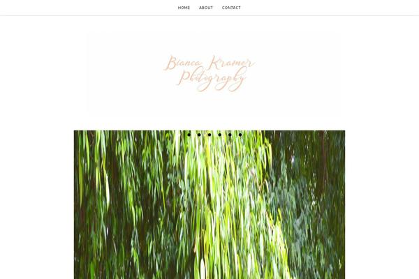 Site using Orange-themes-custom-widgets plugin