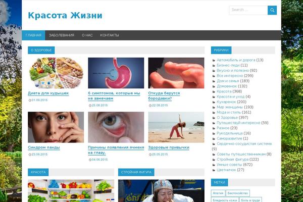 Merlin theme site design template sample