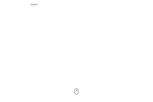Allston theme site design template sample