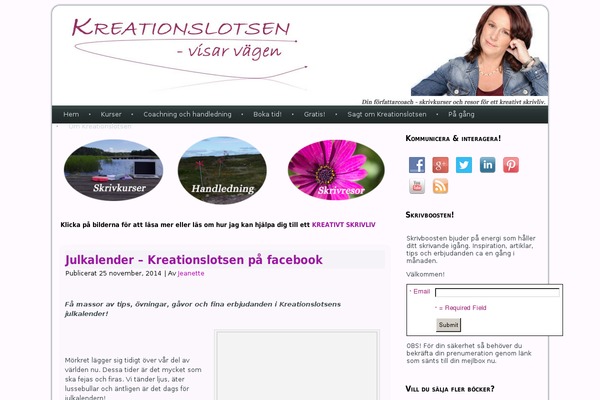 Site using Social Media Widget plugin