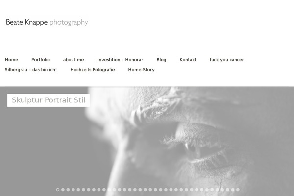 Baylys theme site design template sample