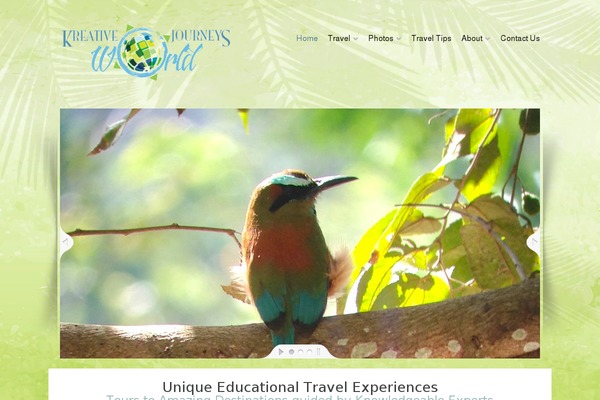Sheeva theme site design template sample