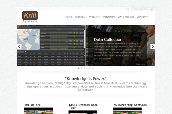 Chameleon theme site design template sample
