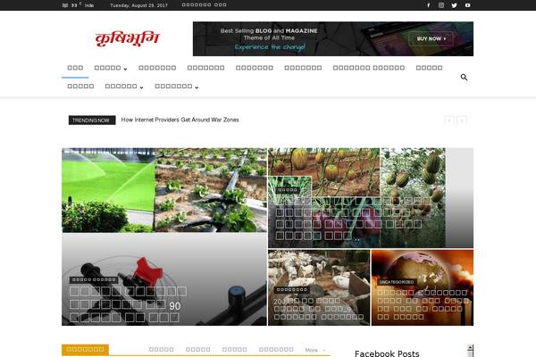 AccessPress Mag theme site design template sample