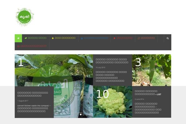 Shapebox theme site design template sample