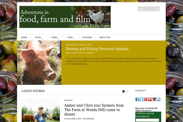 Site using Easy Facebook Share Thumbnail plugin