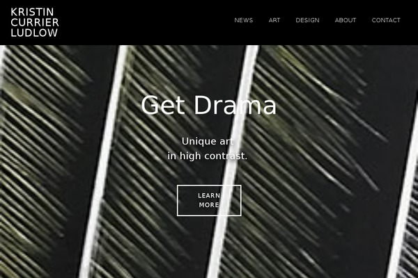 Parallax Pro theme site design template sample