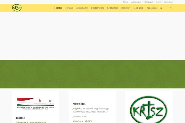 Enfold theme site design template sample