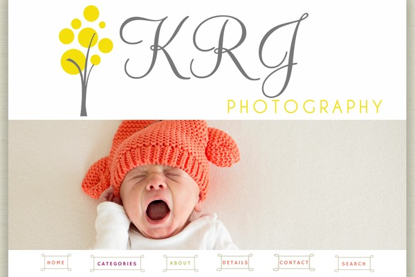 ProPhoto 5 theme site design template sample