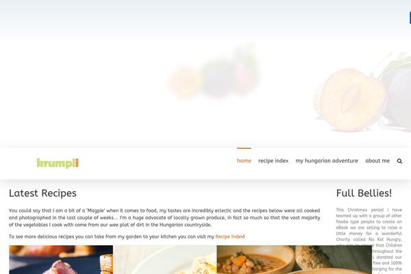 Site using Mediavine-trellis-images plugin