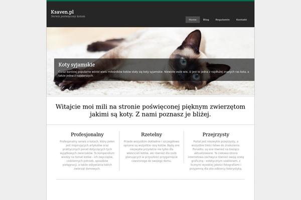 Busine theme websites examples