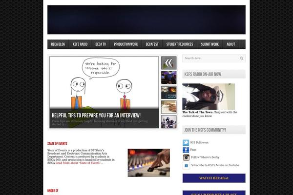 Site using WORDPRESS VIDEO GALLERY plugin