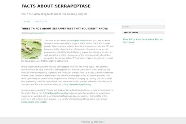 Araiz theme site design template sample