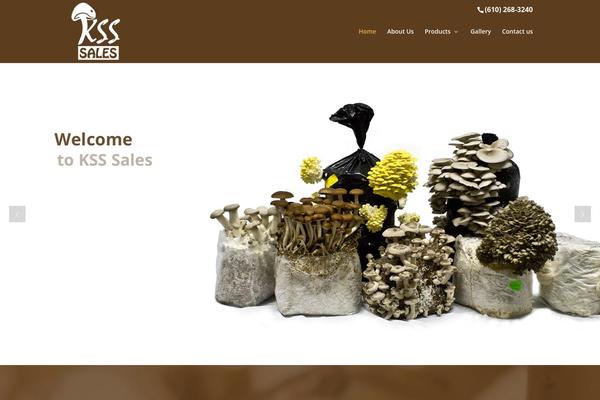 Enet-theme theme site design template sample