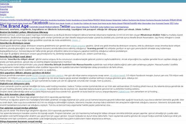 Tiny_theme-master theme site design template sample