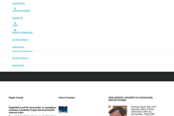 Site using Nd-stats-for-envato-sales-by-item plugin