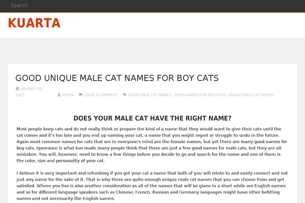 Everal theme site design template sample