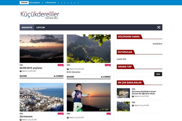 NanoMag theme site design template sample