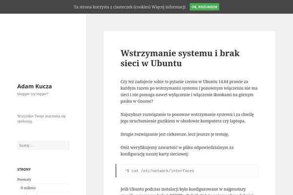 WordPress website example screenshot