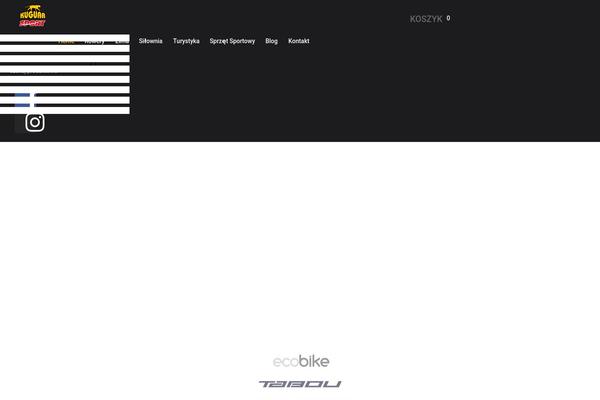 Site using Wc-ajax-product-filter plugin