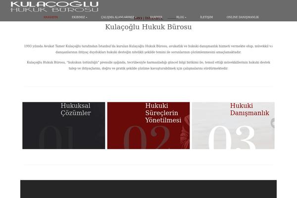 BrainBizz website example screenshot