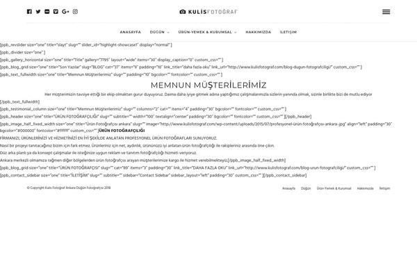 Photography theme site design template sample
