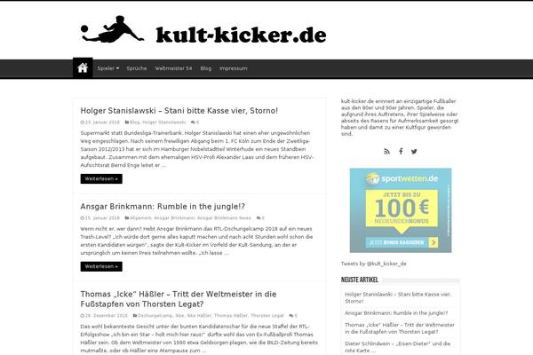 Sahifa theme site design template sample